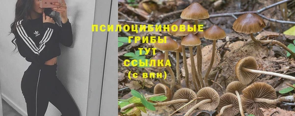 кокс Надым