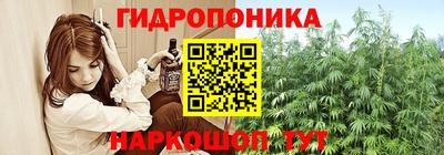 стаф Абакан