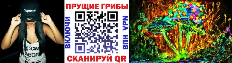 Галлюциногенные грибы Psilocybe  Асбест 