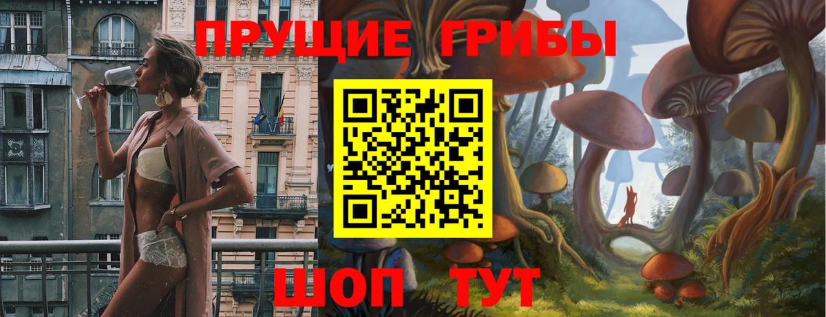 Галлюциногенные грибы Psilocybe  Вход с VPN  Галлюциногенные грибы мухоморы  Асбест 