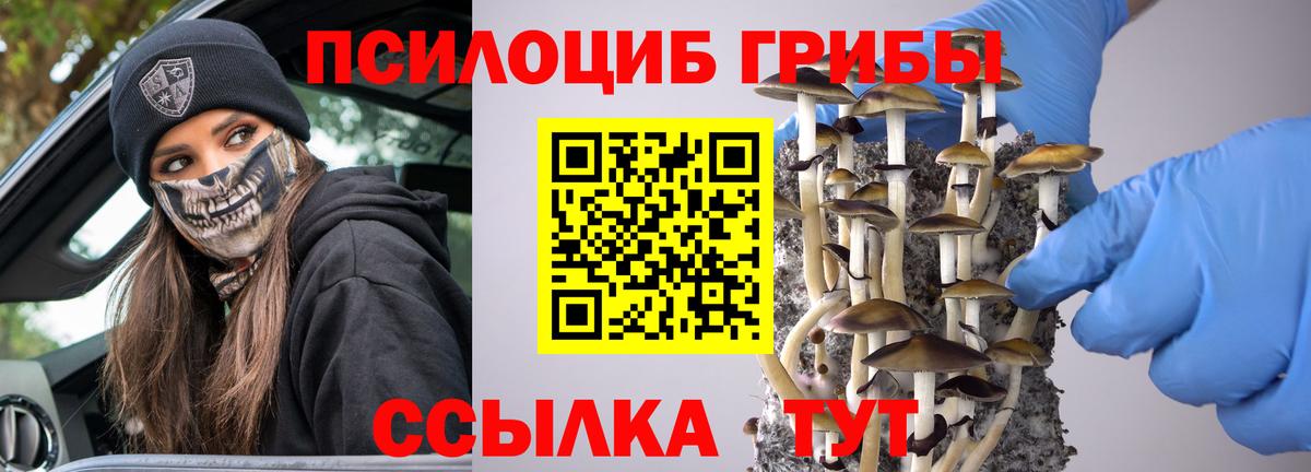 Галлюциногенные грибы MAGIC MUSHROOMS Асбест